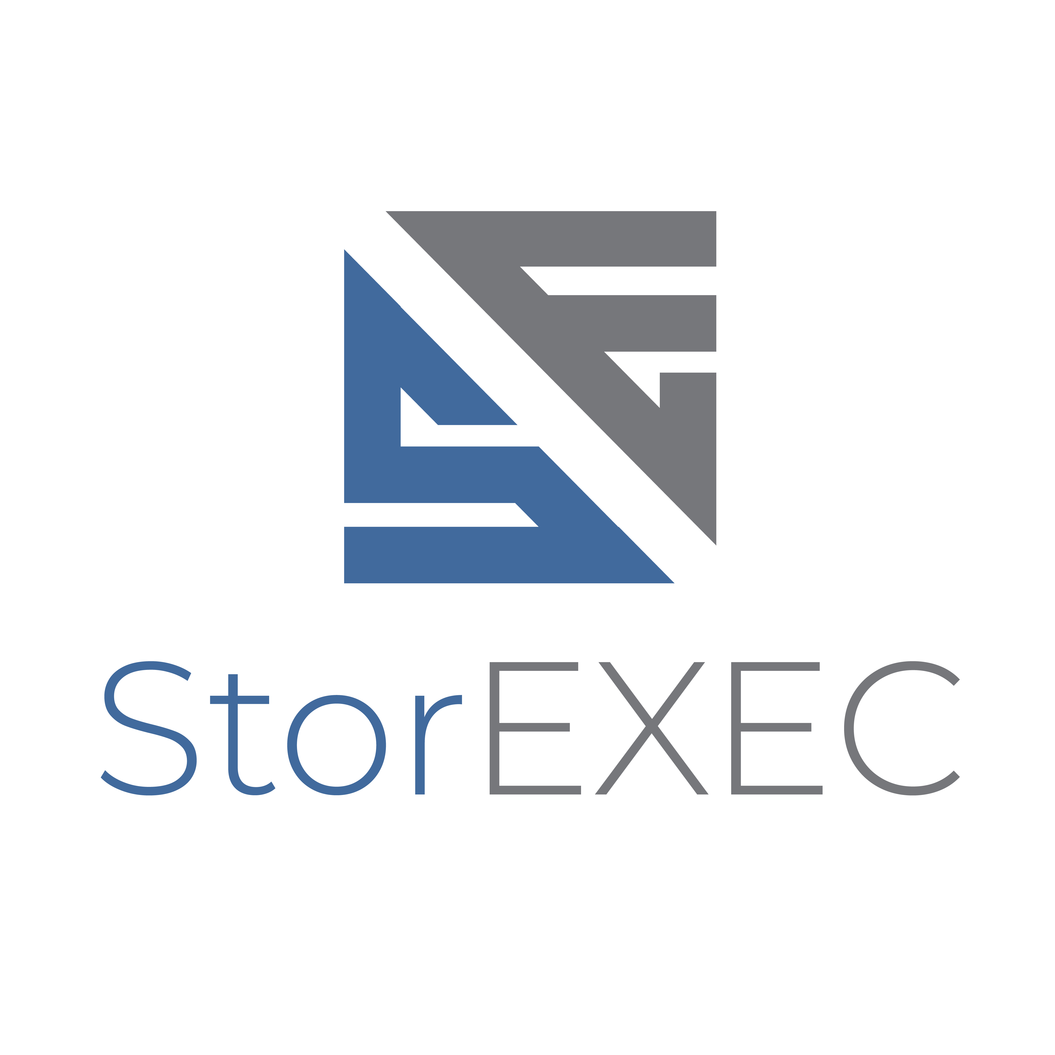 StorEXEC Logo